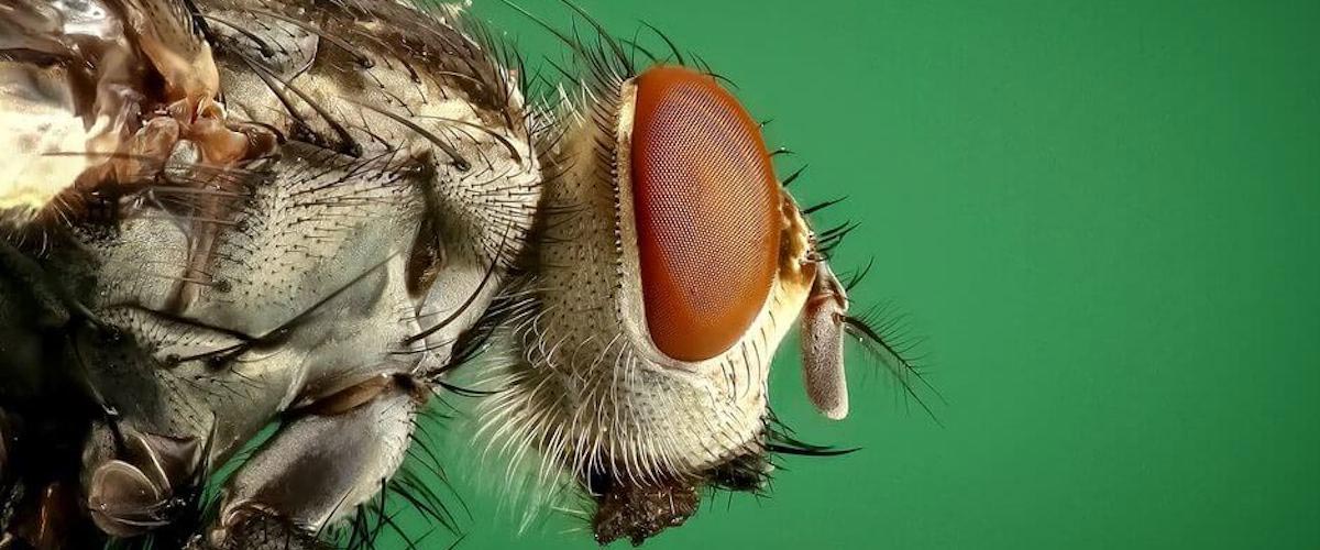 Google's De-indexing Bug Impacting Search Console Data | GPO