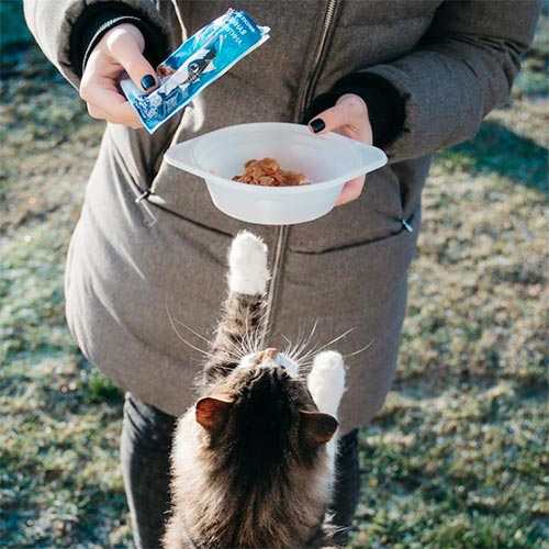 woman feeding her cat treats outside