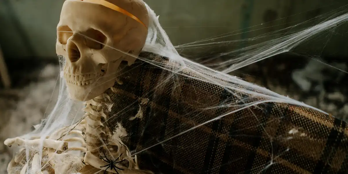 close up of plastic skeleton covered in fake spiderwebs